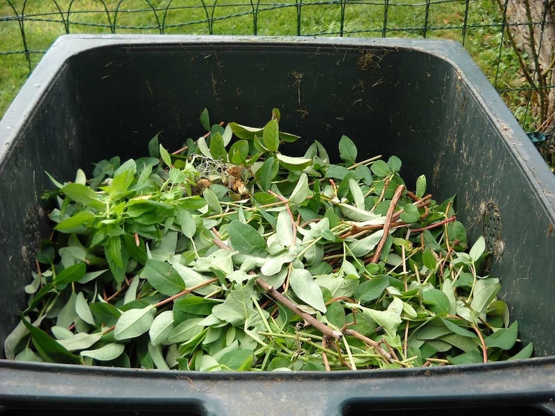 Hot Composting